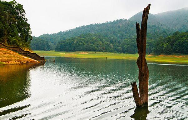 1467872020_0the 1.jpg